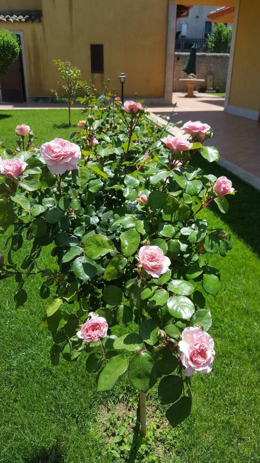 Le Rose Di Modicaヴィラ エクステリア 写真